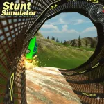 Stunt Simulator